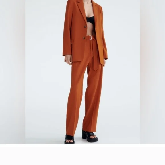 Zara Orange Wide Leg Pants with High Waist and Stylish d-ring Belt - Picture 3 of 11